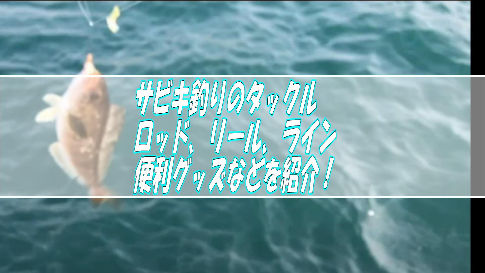 サビキ釣りで使っている釣具【ロッド、リール、ライン、仕掛けなど